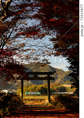 紅葉と北条鉄道 紅葉と北条鉄道 72014677