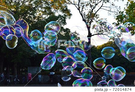 シャボン玉 遊び  シャボン玉 遊び  72014874