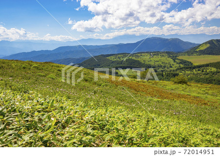 【長野県】初夏の霧ヶ峰 72014951