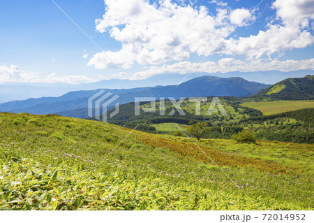 【長野県】初夏の霧ヶ峰 【長野県】初夏の霧ヶ峰 72014952