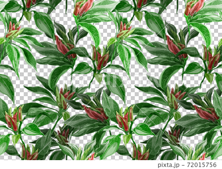 Continuous background pattern of pepper Continuous background pattern of pepper 72015756