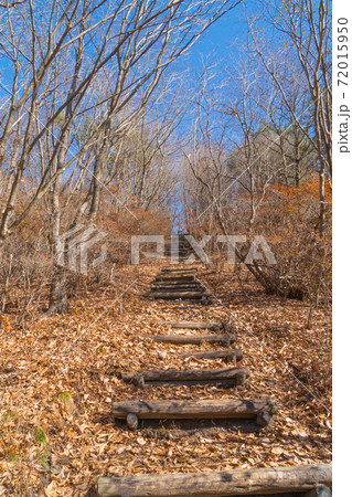 松之沢峠下からスルス岩へ向かう登山道（榛名湖） 72015950