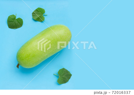 Winter melon on blue background. Winter melon on blue background. 72016337