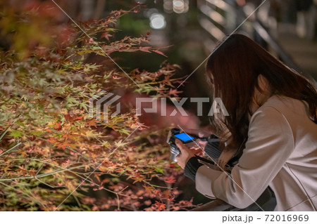 カメラ女子と夜の紅葉 72016969