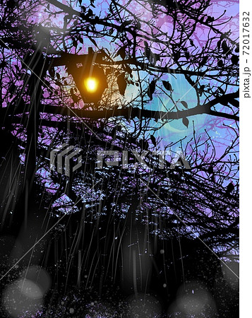 夕闇に輝く街灯と枯れ枝のシルエットと静かに降る雨の風景画のイラスト素材