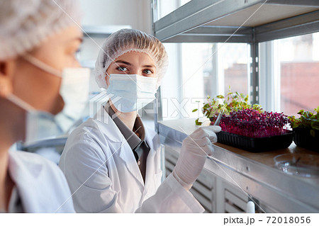 Two Scientists Studying Plants in Laboratory 72018056