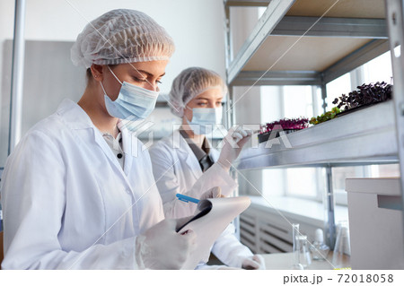 Scientists Studying Plants in Bio Laboratory 72018058