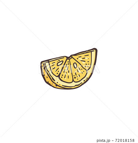 Cartoon icon of yellow lemon slice in sketch style vector illustration isolated. 72018158