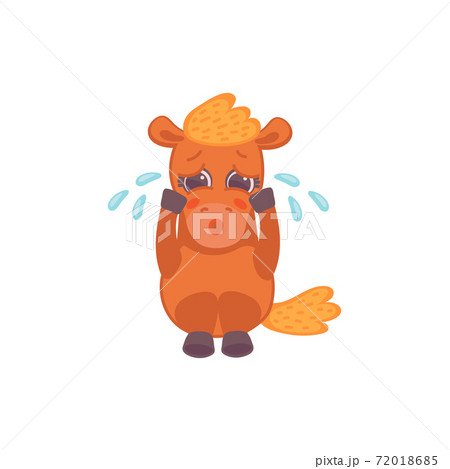 Vector cartoon isolated illustration of sad crying pony 72018685