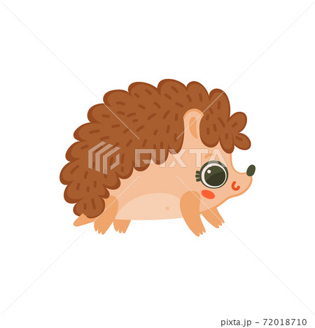 Cute Cartoon Baby Hedgehog Isolated On White のイラスト素材