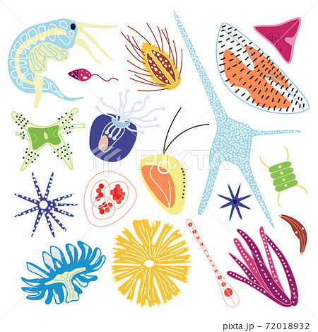 phytoplankton drawing