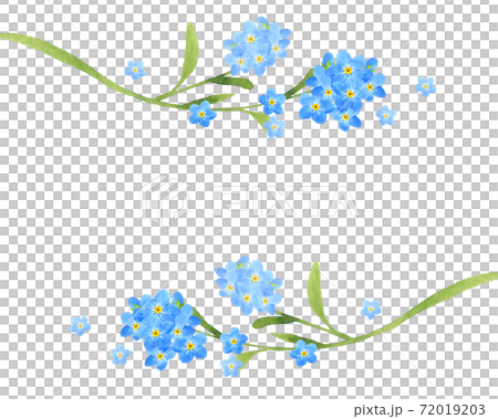 Watercolor forget-me-not frame 72019203