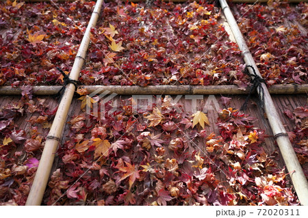小屋の屋根に積もる落葉 小屋の屋根に積もる落葉 72020311
