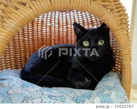 黒猫の寛ぎ 黒猫の寛ぎ 72020767