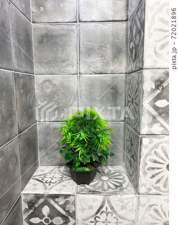 Beautiful stone texture in the garden. 72021896