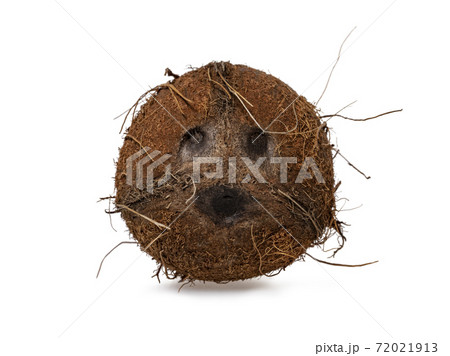Coconut on white background 72021913