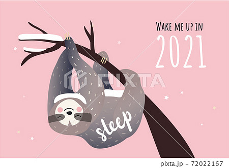 Cute lazy sloth sleeping on a branch Cute lazy sloth sleeping on a branch 72022167