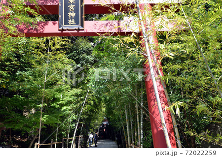熱海「来宮（きのみや）神社」鳥居 72022259