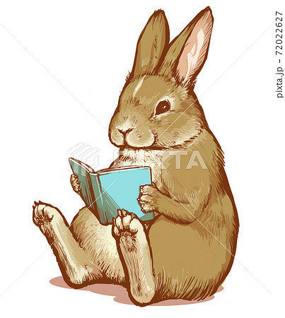 うさぎのリラックスタイム：読書のイラスト素材 [72022627] - PIXTA