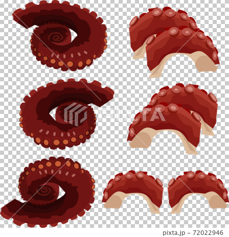 煮タコのイラスト素材 ベクター 煮タコのイラスト素材 ベクター 72022946