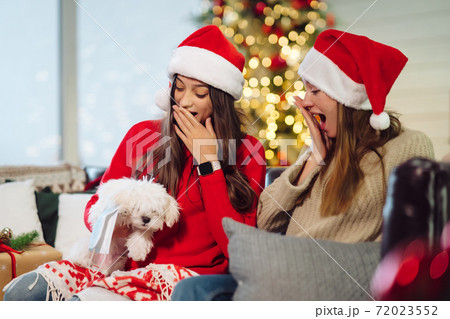 Two girls with a small dog are sitting on the couch on New Year's Eve. Two girls with a small dog are sitting on the couch on New Year's Eve. 72023552