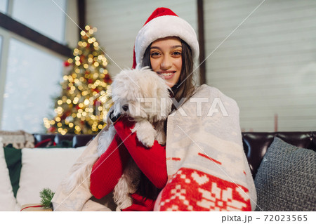 Girl with a small dog in her arms sits on the couch on new year's eve Girl with a small dog in her arms sits on the couch on new year's eve 72023565