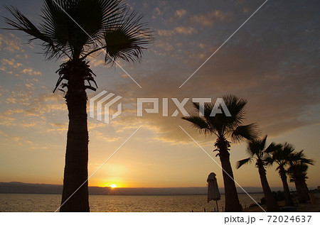 【ヨルダン】死海、立ち並ぶヤシの木と死海越しに沈む夕日の景色 【ヨルダン】死海、立ち並ぶヤシの木と死海越しに沈む夕日の景色 72024637