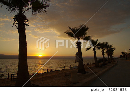 【ヨルダン】死海、立ち並ぶヤシの木と死海越しに沈む夕日の景色 【ヨルダン】死海、立ち並ぶヤシの木と死海越しに沈む夕日の景色 72024638