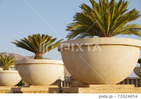 【ヨルダン】死海、リゾートホテルの中庭に並べ置かれたお洒落なプランター 72024654