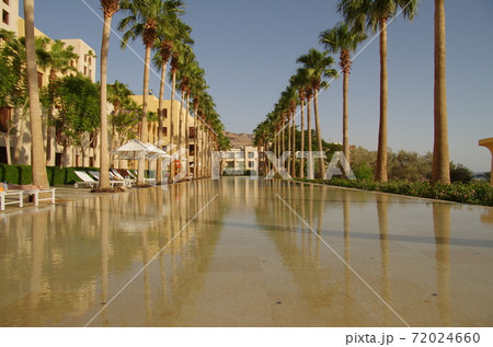 【ヨルダン】死海、リゾートホテルの縦長プールとその脇に立ち並ぶヤシの木 【ヨルダン】死海、リゾートホテルの縦長プールとその脇に立ち並ぶヤシの木 72024660
