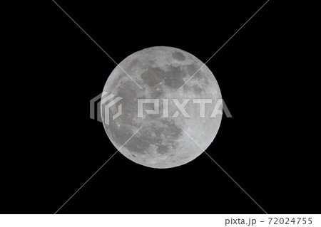 満月_ビーバームーン【11月】 72024755