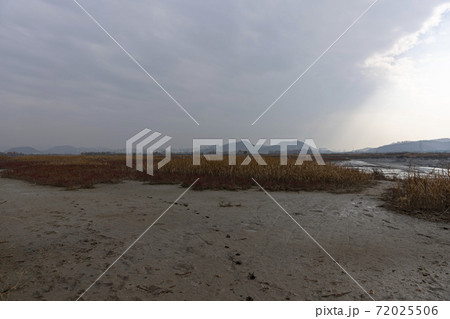 風景 公園 秋 72025506