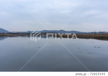 風景 葦 秋 72025545