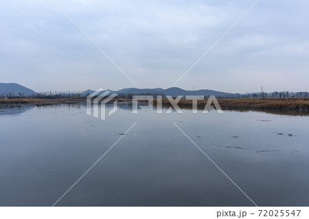 風景 葦 秋 72025547