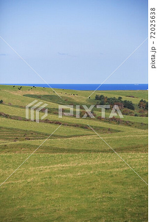 北海道の風景「宗谷丘陵」（北海道稚内市） 72025638