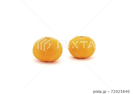 ミカン 72025640