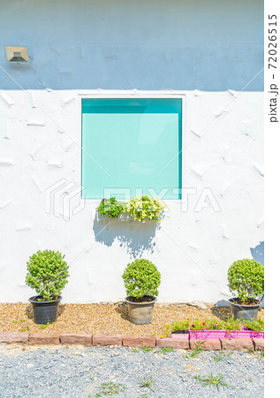 glass window on white wall with flower pot 72026515