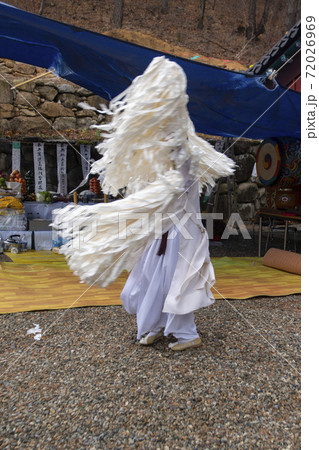 木 冬 女性 72026969