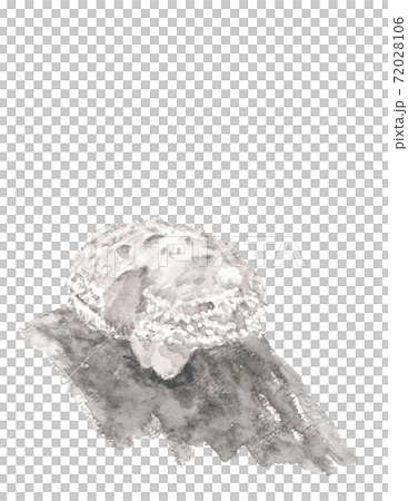 【水墨画風手描き水彩画】シイタケ原木栽培  椎茸 素材  モノクローム白背景 コピースペースあり 72028106