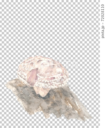 【手描き水彩画】シイタケ原木栽培  椎茸 素材 白背景 コピースペースあり 72028110