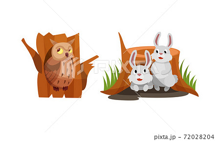 Cute Forest Animals Peepped Out From Their Burrows Vector Set Cute Forest Animals Peepped Out From Their Burrows Vector Set 72028204
