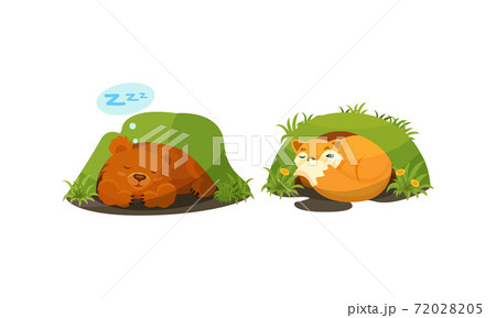 Cute Forest Animals Peepped Out From Their Burrows Vector Set Cute Forest Animals Peepped Out From Their Burrows Vector Set 72028205