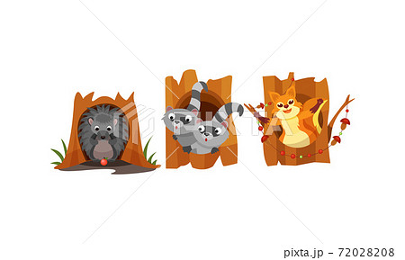 Cute Forest Animals Peepped Out From Their Burrows Vector Set 72028208
