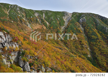 紅葉の千畳敷カール 72028282