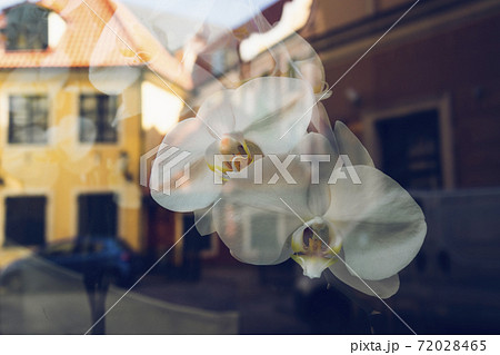 Reflection of the old city in shop windows 72028465