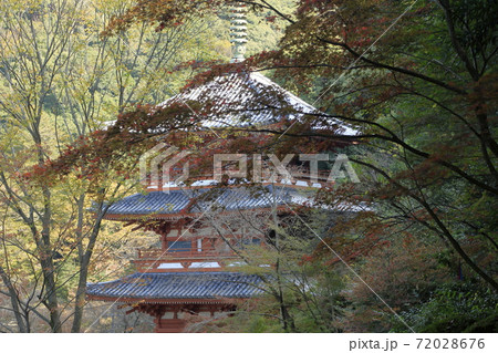 みやま市　清水山　紅葉、 72028676