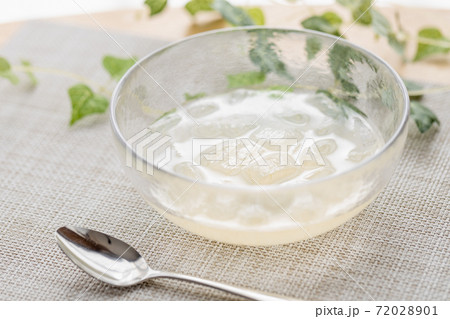 アロエのシロップ漬け_2 72028901