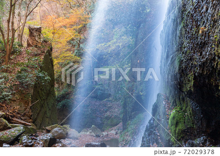 紅葉の丹沢牧馬大滝 72029378