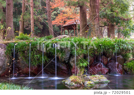 秋の藤垈の滝 秋の藤垈の滝 72029501