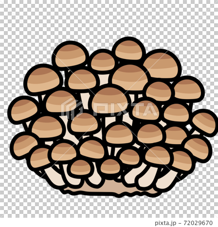 ぶなしめじ カットイラスト 素材 シメジ しめじ ブナシメジのイラスト素材